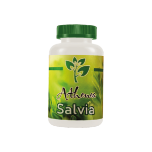 Salvia